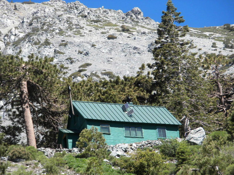 baldy70410 019.jpg